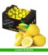 Limoni di Sicilia - 13kg