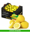 Limoni di Sicilia - 12kg