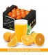 Arance Sicilia Bionda da Spremuta - 13kg