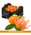 Clementine Sicilia senza semi - 12kg